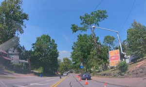 Tree Trimmer Drops Telephone Pole on Car
