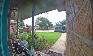 Delivery Driver Is Wary of Friendly Feline