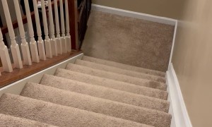 Beagle Finds Pillow After Long Day