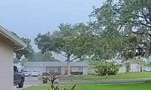 Lightning Strikes Tree Outside Home
