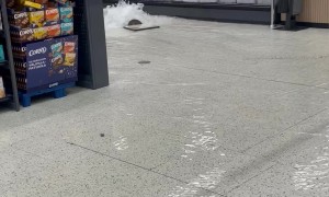 Rainwater Floods Into Grocery Store Through Drainpipe