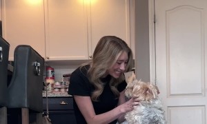 Dog Celebrates After Getting Fake Injection