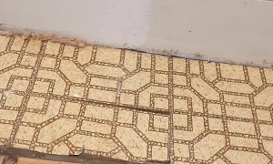 Man Finds Hidden Trap Door in Bathroom