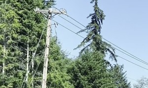 Do Ya See the Seahorse?