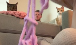 Woman Unknowingly Has an Audience