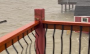 Optimism Working Overtime During Hurricane Beryl Flooding