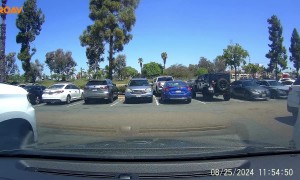 Altercation Between Drivers After Near-Miss