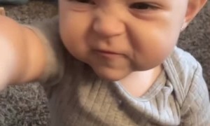 When Your Baby Is Technically Correct About Animal Noises