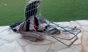 Cat Sleeps On Freshly-Cleaned Laundry