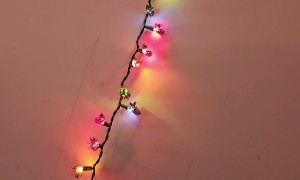 Girl Decorates With Cicada Shells