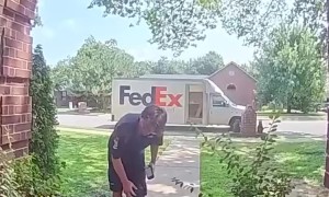 Mini Schnauzer Gives the FedEx Guy a Hug