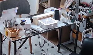 Snake Sneaks Up On Girl Getting Her Nails Done