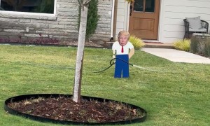 Novelty Trump Lawn Sprinkler