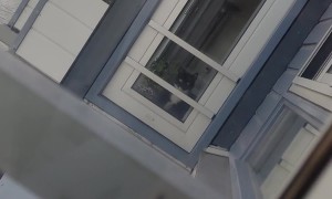 I Think My Neighbor Got a New Cat