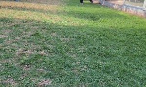 Man Slips When Trying to Pass the Ball