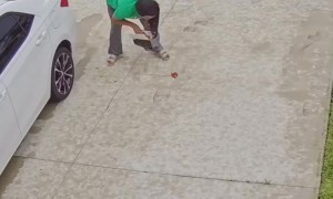 Fried Chicken Packaging Fail Changes Dinner Plans