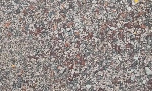 Duck Walks Between Man's Feet