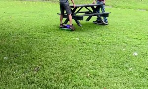 Self-balancing Scooters Quickly Move Picnic Table