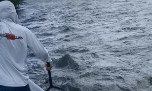 Fishermen Spot Moose and Calf on the River