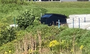 Dumpster or Cybertruck?