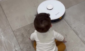 One Vacuums While the Other Wipes