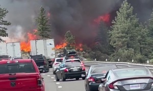 Car Fire Spreads to Surrounding Area