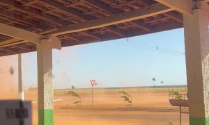 Whirlwind Doesn't Faze Chickens