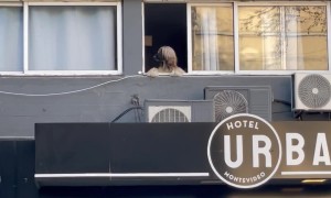 Dog Watches Neighborhood With Fabulous Hair