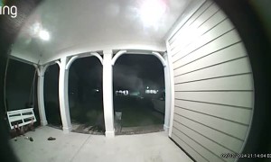 Father Plops Down and Sends Family Flying