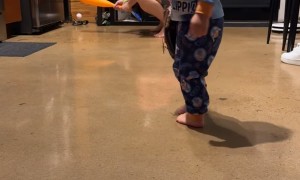 Toddler Cuts Mom From Baseball Team