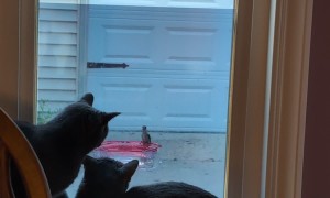 She Has Faith That One Day She Will Get It