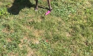 Its not her bark…its her knife