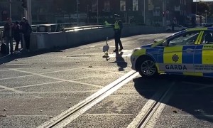 Dublin Police Escort Swan Through the City