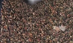 Firecracker Sends Metal Bowl Flying Right Into Noggin