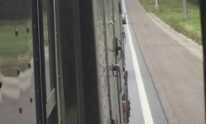 Horse Enjoys Some Fresh Air While on the Road