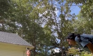 Son Hits Mom With a Line Drive