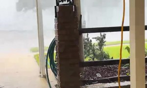 Hurricane Francine Destroys Awning During Livestream