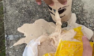 Boba Straw Puncture Leads To Burst Drink