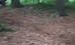 Kid Faceplants on Bike