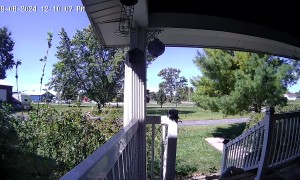 Gary Groundhog Stole My Package