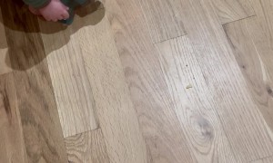 Fearless Toddler Is Excellent Spider Catcher