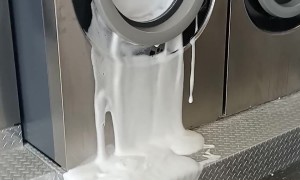 My Brother Accidently Flooded The Laundromat