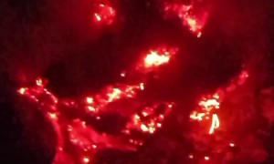 Apparent Meteorite Falls in Backyard