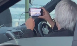 Man Walks His Sheep at the Beach