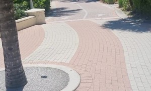 Monkey in a Bike Basket