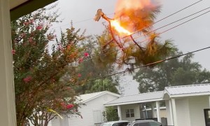Branch Caught in Electrical Wires Catches Fire