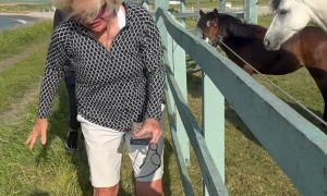 Barb Touches an Electric Fence