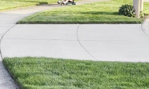 Dog Goes For a Ride Around the Neighborhood