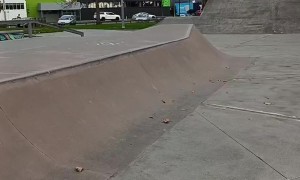 Skateboarding 5-Year-Old Attempts Big Jump