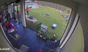 Frankie Falls From Pool Ladder